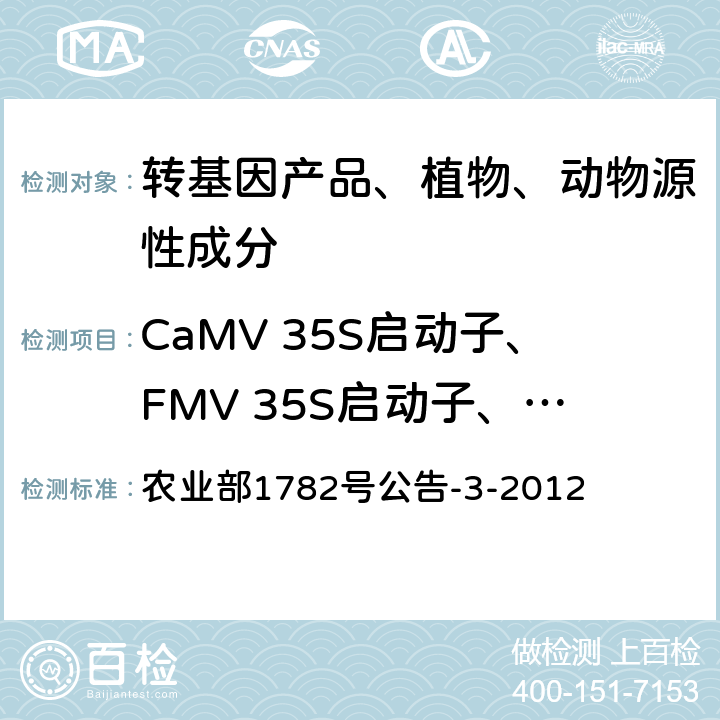 CaMV 35S启动子、FMV 35S启动子、NOS启动子、NOS终止子和CaMV 35S终止子定性 转基因植物及其产品成分检测调控元件CaMV 35S启动子、FMV 35S启动子、NOS启动子、NOS终止子和CaMV 35S终止子定性PCR方法 农业部1782号公告-3-2012