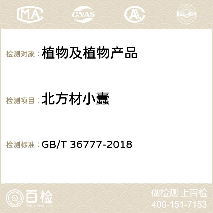 北方材小蠹 材小蠹（非中国种）检疫鉴定方法 GB/T 36777-2018