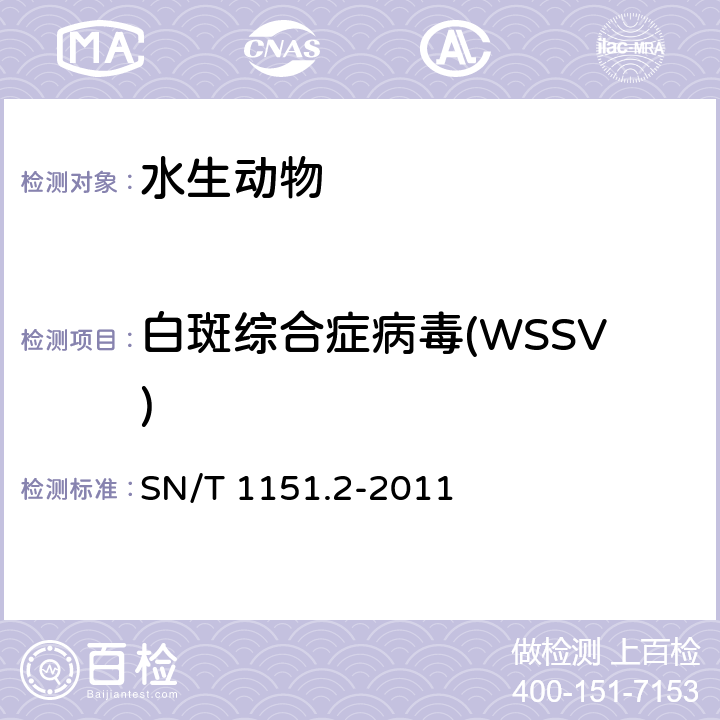 白斑综合症病毒(WSSV) 对虾白斑病检疫技术规范 SN/T 1151.2-2011