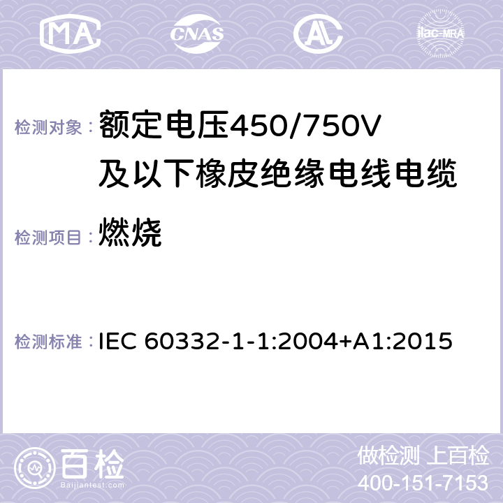 燃烧 在火焰条件下电缆和光缆的试验第1-1部分：单根绝缘电线或电缆的垂直燃烧试验—设备 IEC 60332-1-1:2004+A1:2015