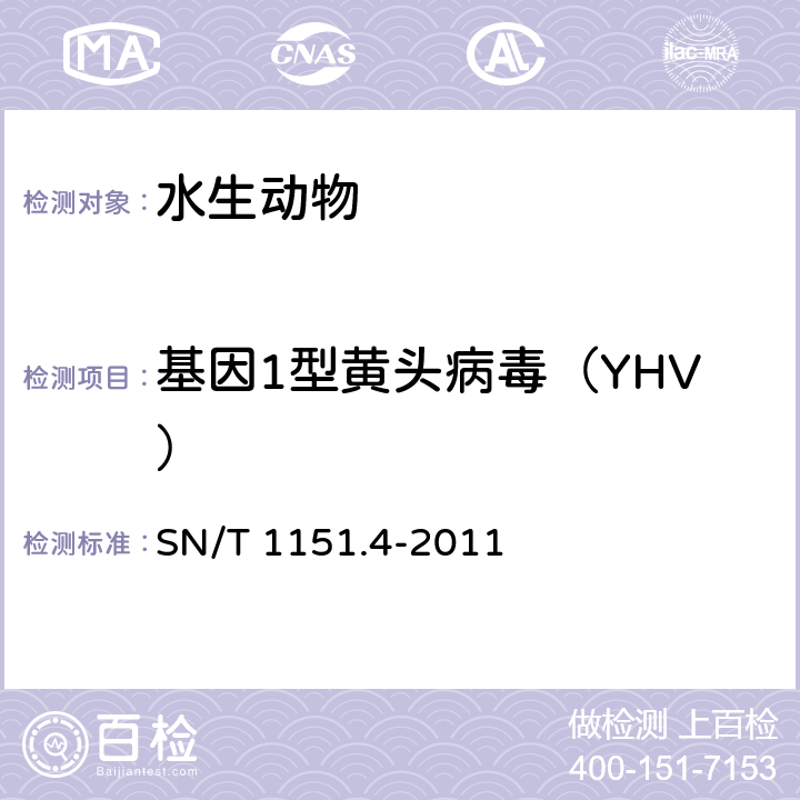 基因1型黄头病毒（YHV） 虾黄头病检疫技术规范 SN/T 1151.4-2011