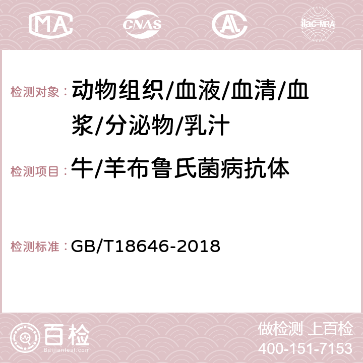 牛/羊布鲁氏菌病抗体 GB/T 18646-2018 动物布鲁氏菌病诊断技术