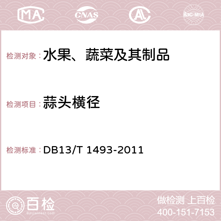 蒜头横径 《地理标志产品 永年大蒜》 DB13/T 1493-2011 6.1