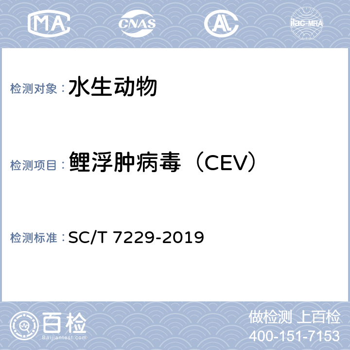 鲤浮肿病毒（CEV） 鲤浮肿病毒诊断规程 SC/T 7229-2019