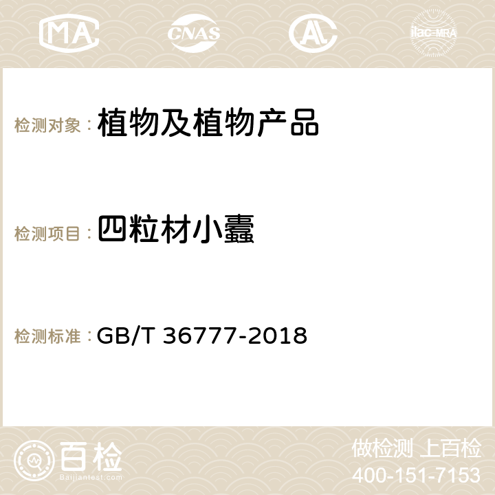 四粒材小蠹 材小蠹（非中国种）检疫鉴定方法 GB/T 36777-2018