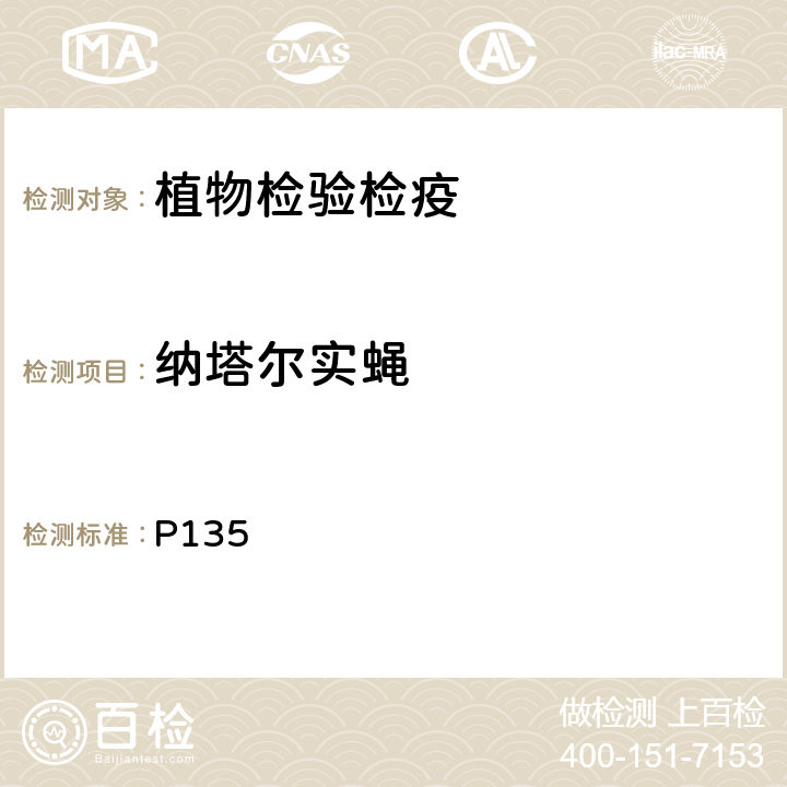 纳塔尔实蝇 《实蝇类重要害虫鉴定图册》，吴佳教等主编，广东科技出版社，2009 P135