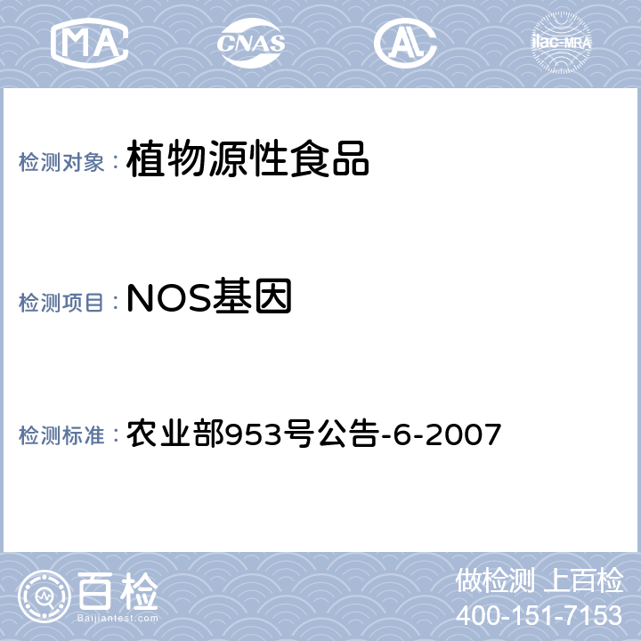 NOS基因 转基因植物及其产品成分检测抗虫转Bt基因水稻定性PCR方法 农业部953号公告-6-2007
