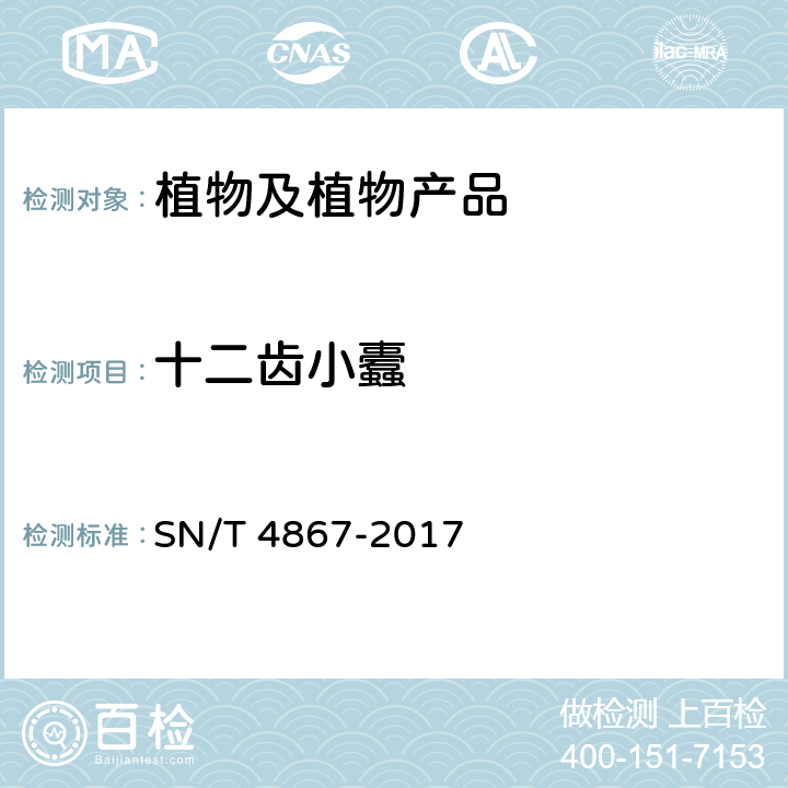 十二齿小蠹 齿小蠹属（非中国种）检疫鉴定方法 SN/T 4867-2017