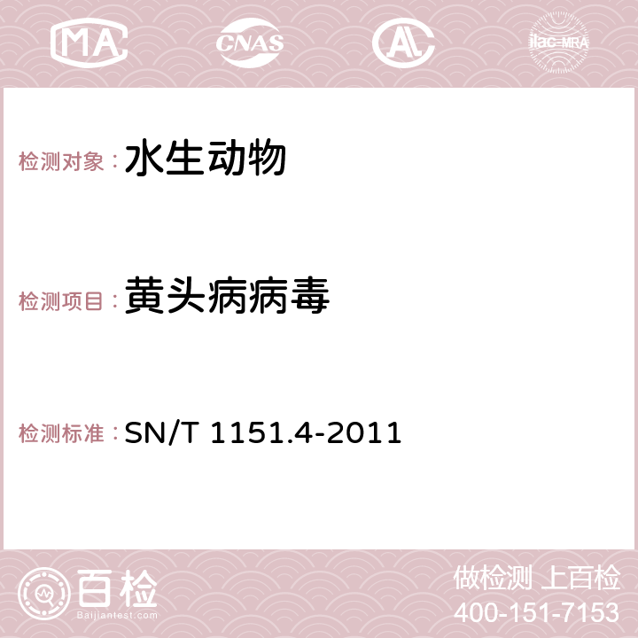 黄头病病毒 虾黄头病检疫技术规范 SN/T 1151.4-2011