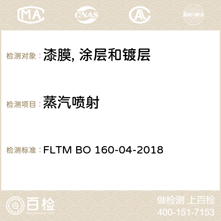 蒸汽喷射 塑料涂装件耐高压冲洗 FLTM BO 160-04-2018