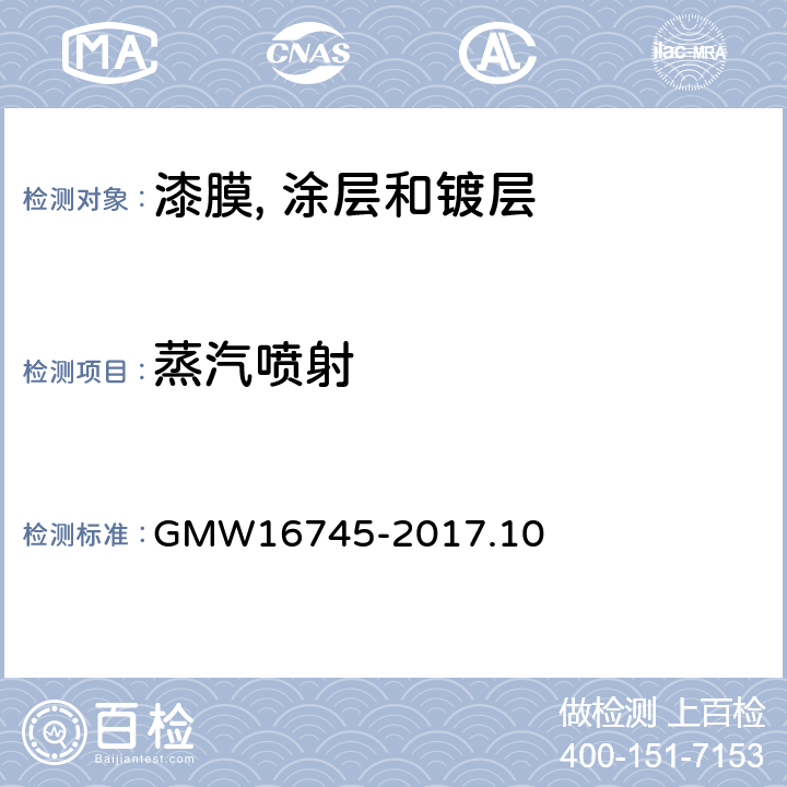 蒸汽喷射 蒸汽喷射 GMW16745-2017.10 Method B