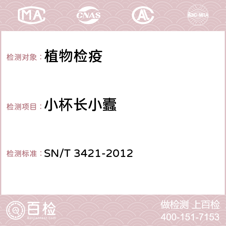 小杯长小蠹 长小蠹（属）（非中国种）检疫鉴定方法 SN/T 3421-2012