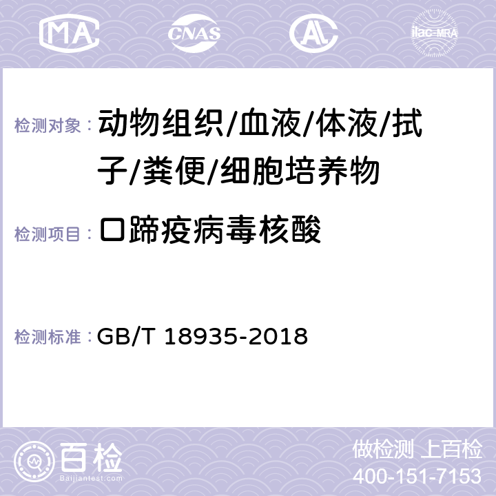 口蹄疫病毒核酸 口蹄疫诊断技术 GB/T 18935-2018 11