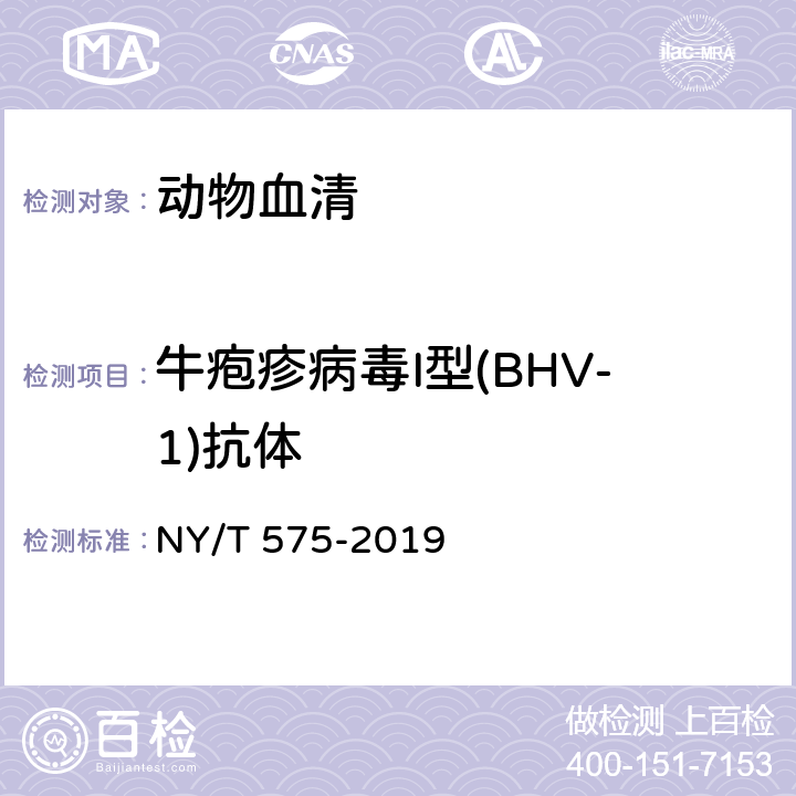牛疱疹病毒I型(BHV-1)抗体 NY/T 575-2019 牛传染性鼻气管炎诊断技术