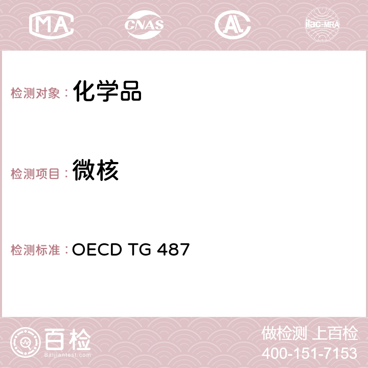 微核 体外哺乳动物细胞微核试验方法 OECD TG 487