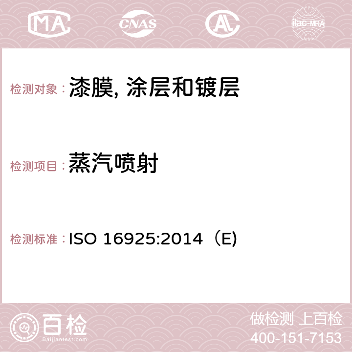 蒸汽喷射 色漆和清漆-耐高压清洗测定 ISO 16925:2014（E)