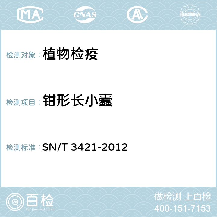 钳形长小蠹 SN/T 3421-2012 长小蠹(属)(非中国种)检疫鉴定方法