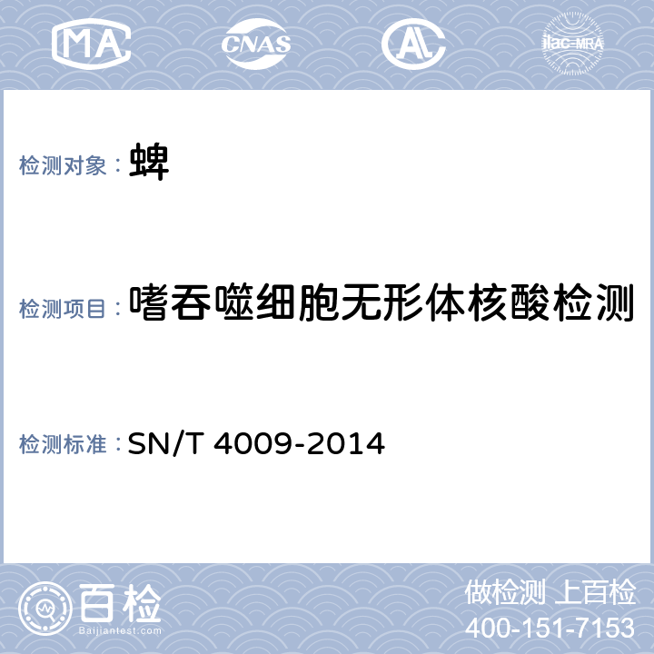 嗜吞噬细胞无形体核酸检测 国境口岸蜱类携带嗜吞噬细胞无形体的PCR检测方法 SN/T 4009-2014