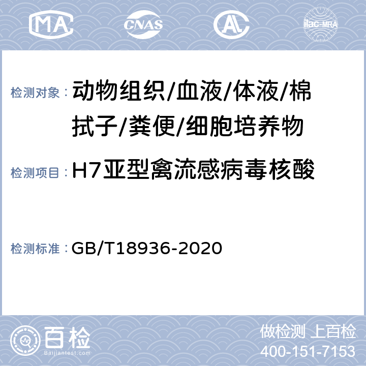 H7亚型禽流感病毒核酸 高致病性禽流感诊断技术 GB/T18936-2020