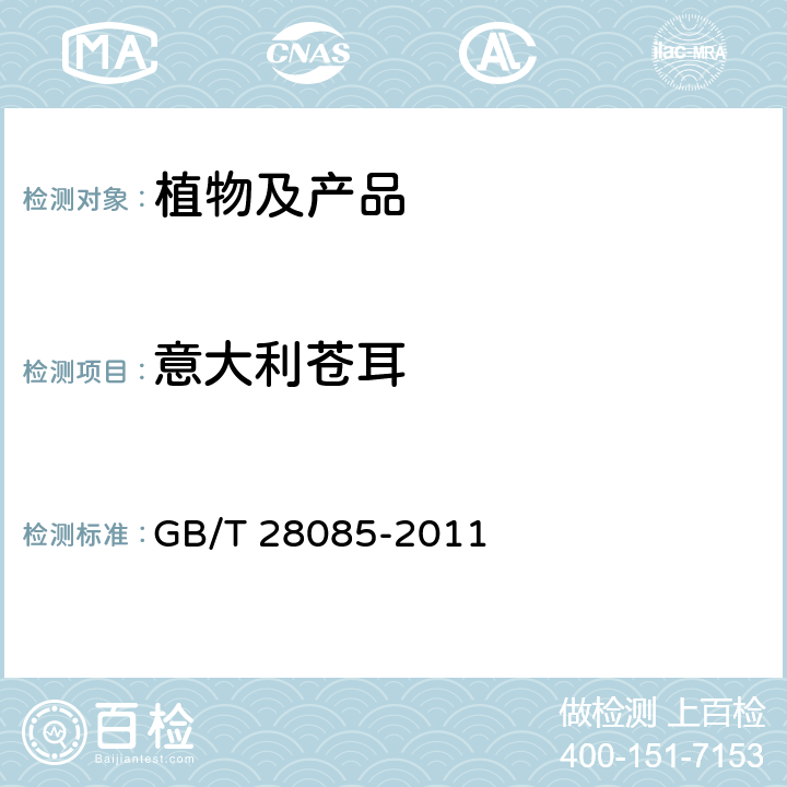 意大利苍耳 苍耳属（非中国种）检疫鉴定方法 GB/T 28085-2011