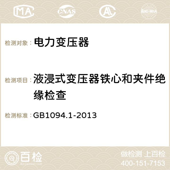 液浸式变压器铁心和夹件绝缘检查 电力变压器:总则 GB1094.1-2013 11.1