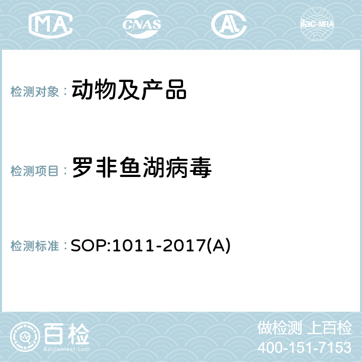 罗非鱼湖病毒 SOP:1011-2017(A) 罗非鱼罗湖病毒（TiLV）检测-实时荧光PCR法 SOP:1011-2017(A)