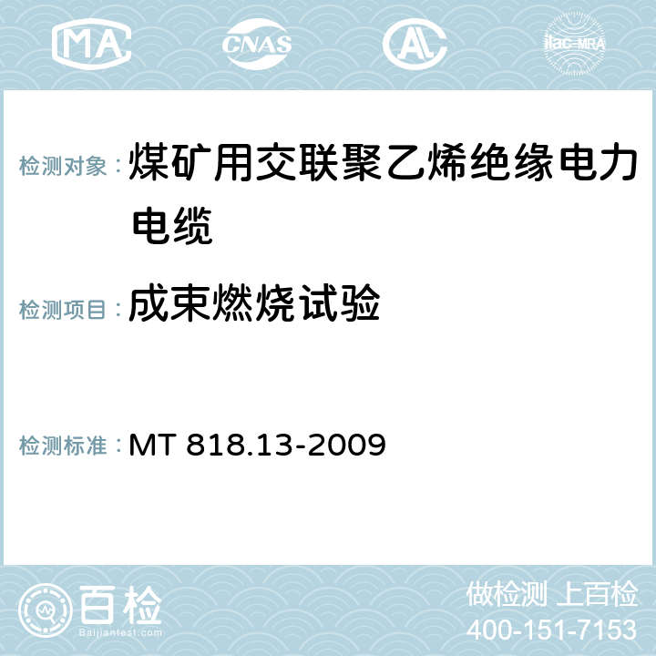 成束燃烧试验 《煤矿用电缆 第13部分:额定电压8.7/10kV及以下煤矿用交联聚乙烯绝缘电力电缆》 MT 818.13-2009