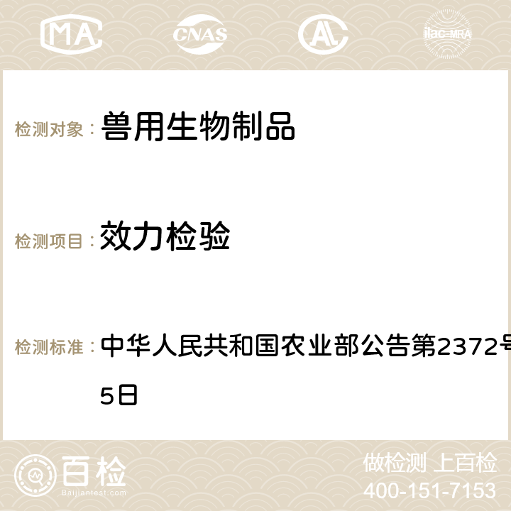 效力检验 中华人民共和国农业部公告第2372号 2016年3月15日 狐狸脑炎活疫苗（CAV-2C株）质量标准  附件3