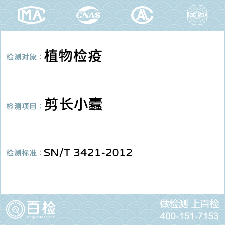 剪长小蠹 SN/T 3421-2012 长小蠹(属)(非中国种)检疫鉴定方法