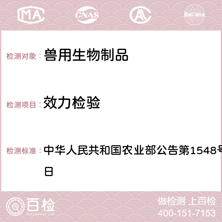 效力检验 高致病性猪繁殖与呼吸综合征活疫苗（TJM-F92株） 中华人民共和国农业部公告第1548号 2011年3月4日 附件3