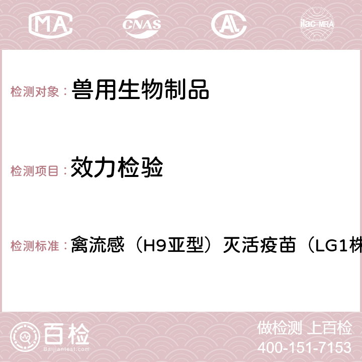 效力检验 中华人民共和国兽药典2020年版三部 禽流感（H9亚型）灭活疫苗（LG1株）