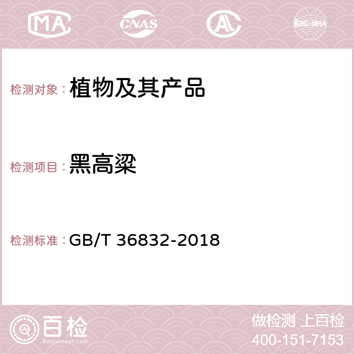 黑高粱 黑高粱检疫鉴定方法 GB/T 36832-2018