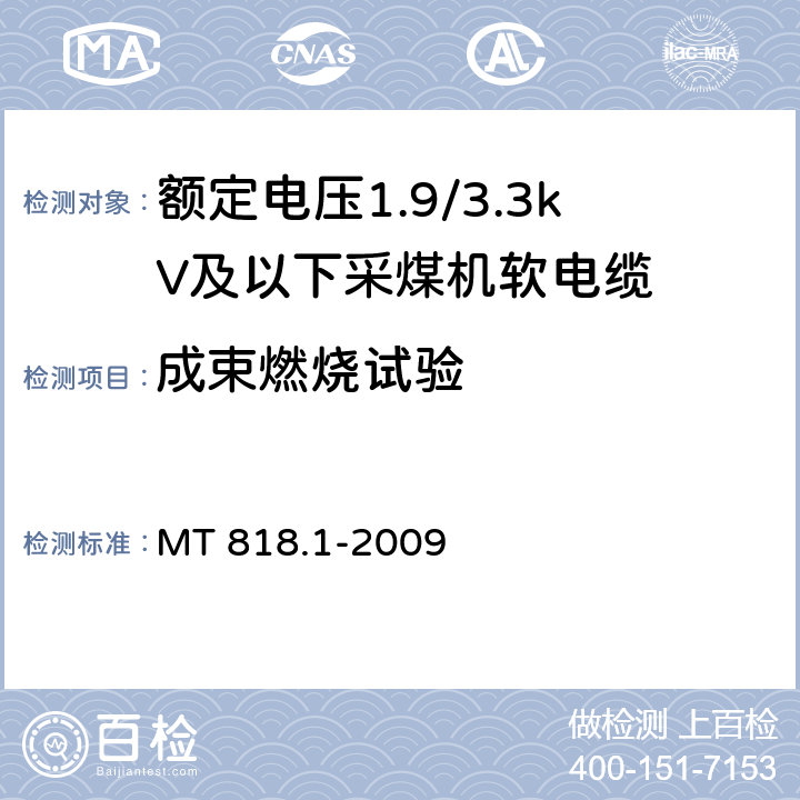 成束燃烧试验 《煤矿用电缆 第1部分:移动类软电缆一般规定》 MT 818.1-2009 5.7.5