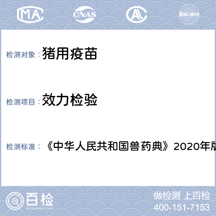 效力检验 猪败血性链球菌病活疫苗（ST171株） 《中华人民共和国兽药典》2020年版三部