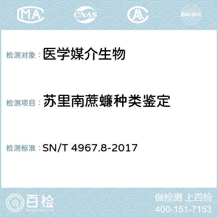 苏里南蔗蠊种类鉴定 常见蜚蠊鉴定方法 第8部分：苏里南蔗蠊 SN/T 4967.8-2017