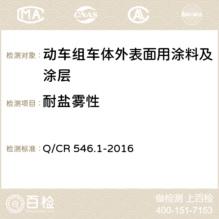 耐盐雾性 动车组用涂料与涂装 第 1 部分：车体外表面用涂料及涂层 Q/CR 546.1-2016 5.4.23