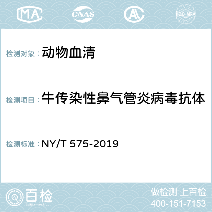 牛传染性鼻气管炎病毒抗体 牛传染性鼻气管炎诊断技术 NY/T 575-2019