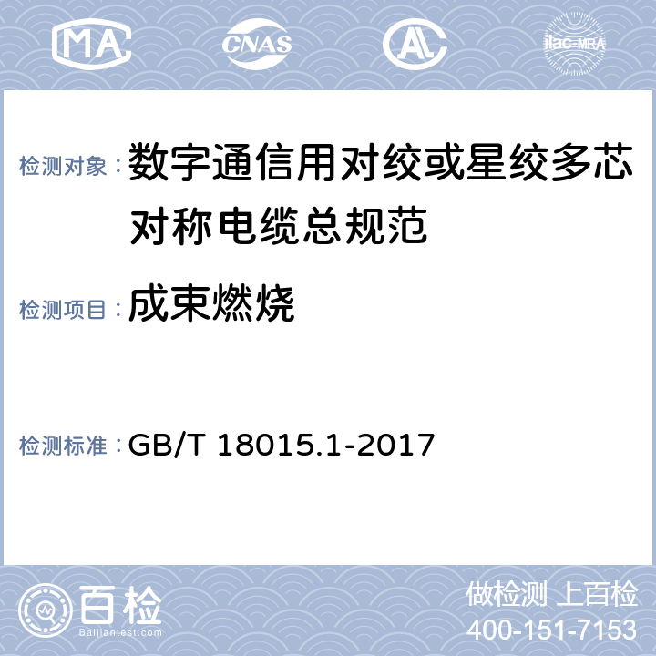 成束燃烧 《数字通信用对绞或星绞多芯对称电缆 第1部分：总规范》 GB/T 18015.1-2017