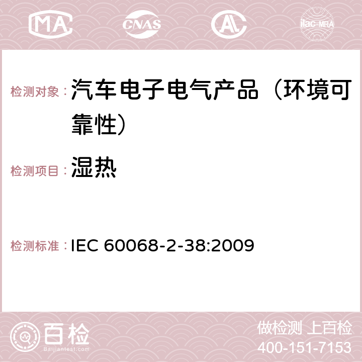 湿热 IEC 60068-2-38-2009 环境试验 第2-38部分:试验 试验Z/AD:温度/湿度复合循环试验