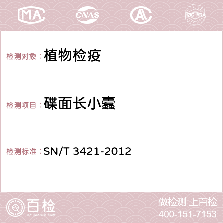 碟面长小蠹 长小蠹（属）（非中国种）检疫鉴定方法 SN/T 3421-2012