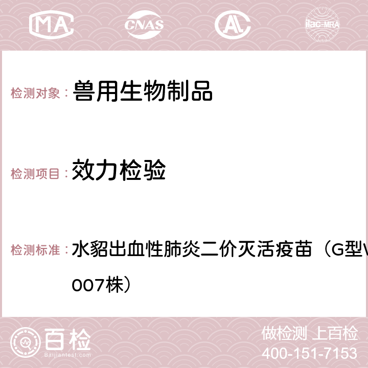 效力检验 中华人民共和国兽药典2020年版三部 水貂出血性肺炎二价灭活疫苗（G型WD005株+B型DL007株）