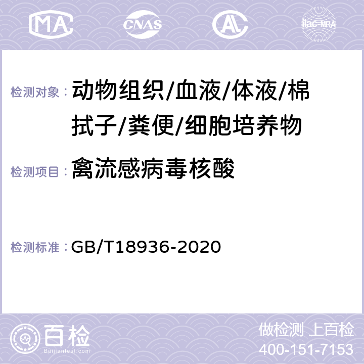 禽流感病毒核酸 高致病性禽流感诊断技术 GB/T18936-2020