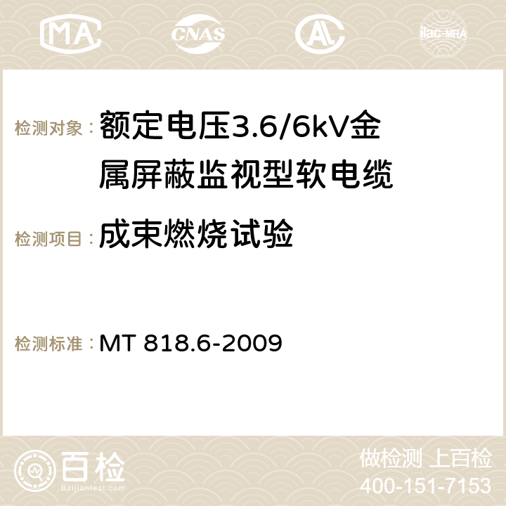 成束燃烧试验 《煤矿用电缆 第6部分:额定电压8.7/10kV及以下移动金属屏蔽监视型软电缆》 MT 818.6-2009