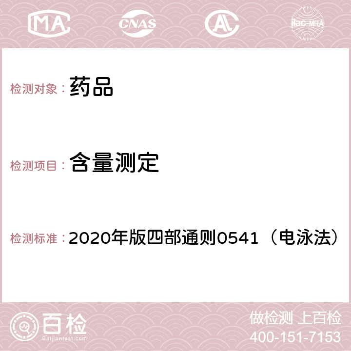 含量測定 《中國藥典》 2020年版四部通則0541（電泳法）