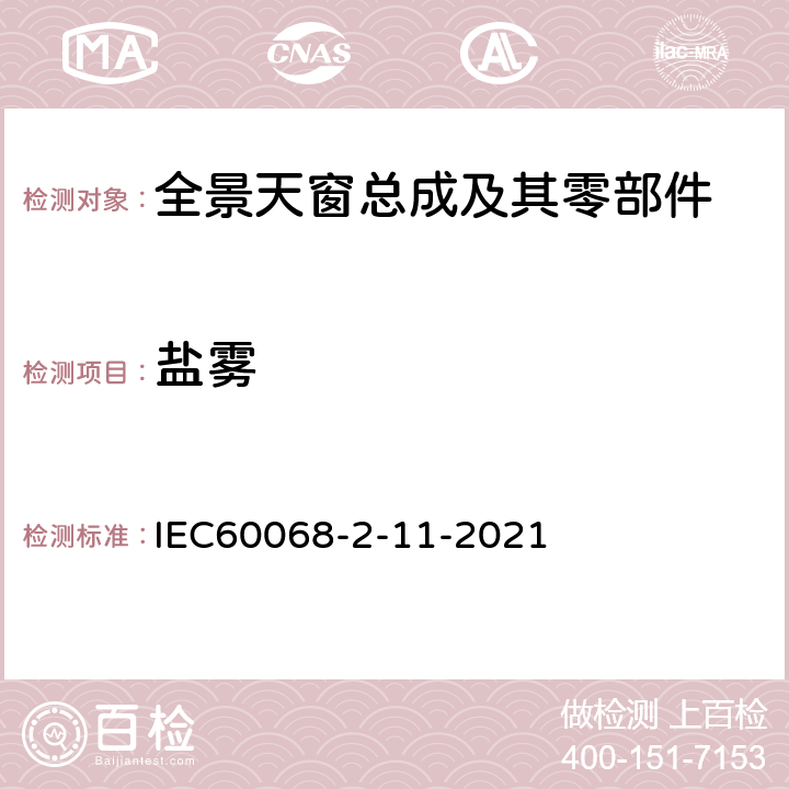盐雾 IEC 60068-2-11-20 环境试验 第2-11部分：试验 试验KA： IEC60068-2-11-2021