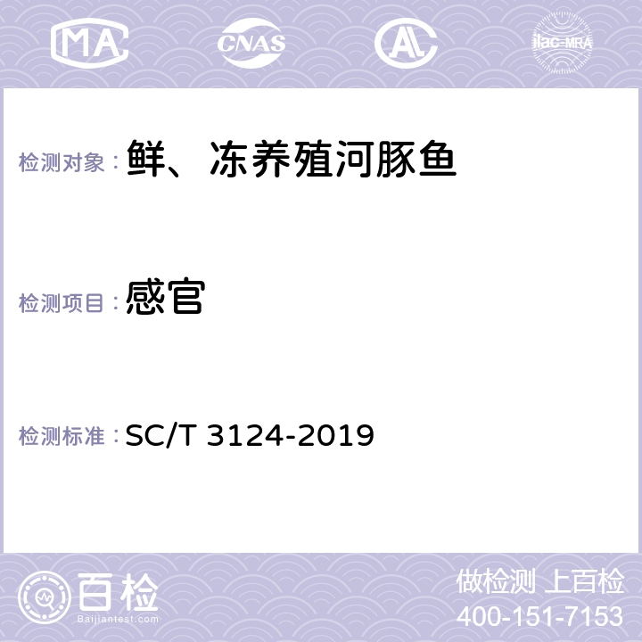 感官 鲜、冻养殖河豚鱼 SC/T 3124-2019