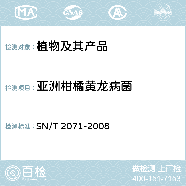 亚洲柑橘黄龙病菌 亚洲柑橘黄龙病菌检疫鉴定方法 SN/T 2071-2008