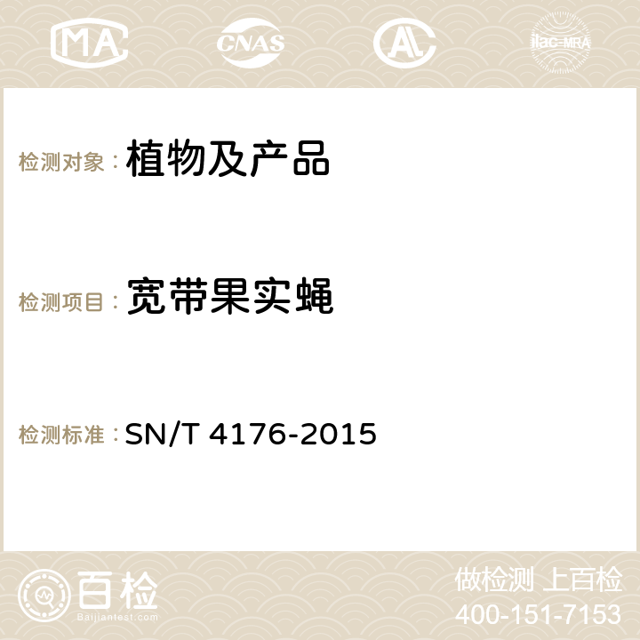 宽带果实蝇 南瓜实蝇检疫鉴定方法 SN/T 4176-2015