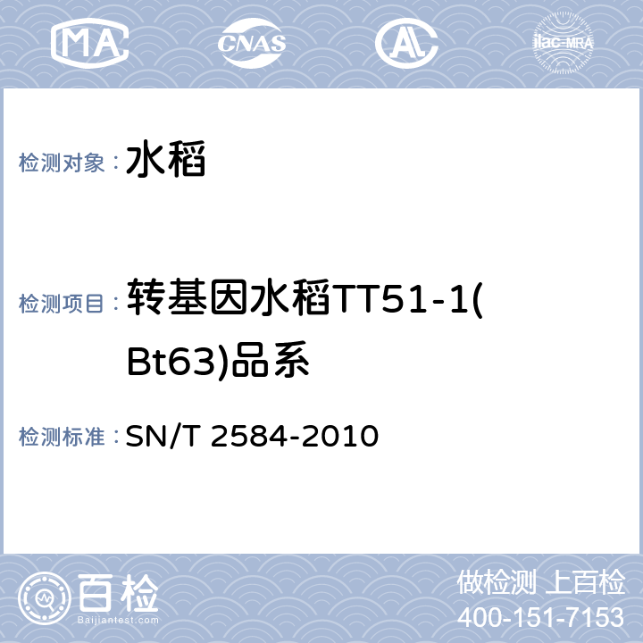 转基因水稻TT51-1(Bt63)品系 水稻及其产品中转基因成分实时荧光PCR检测方法 SN/T 2584-2010