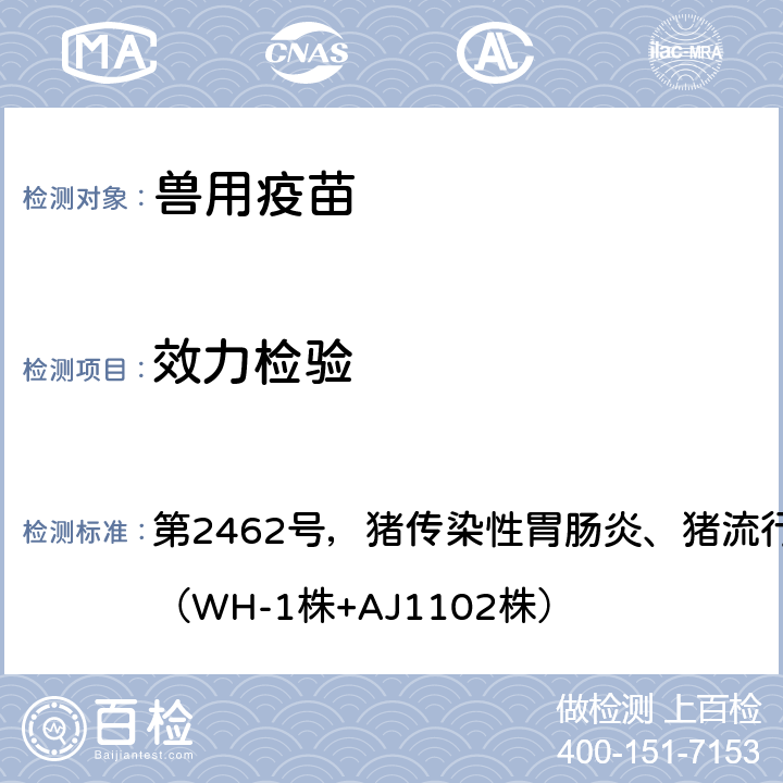 效力检验 《中华人民共和国农业部公告》 第2462号，猪传染性胃肠炎、猪流行性腹泻二联灭活疫苗（WH-1株+AJ1102株）